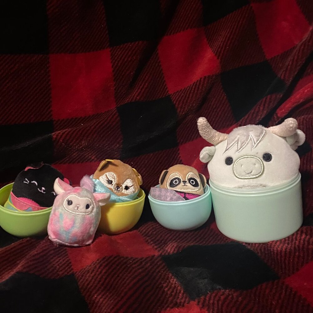 Squishmallow and Squishville Bundle (Four Squishvilles, one 5 Inch)